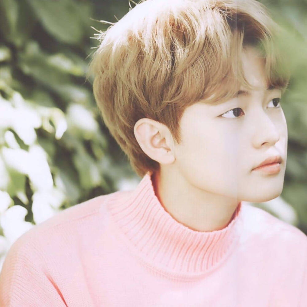 辰乐chenle