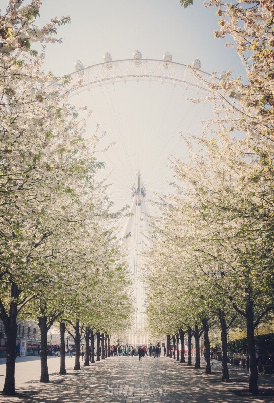 London Eye, London,UK(by Torsten Muehlbacher)。英国伦敦眼，坐落在英国伦敦泰晤士河畔，是世界上首座、同时截至2005年最大的观景摩天轮，为伦敦的地标及出名旅游观光点之一。“伦敦眼”为庆祝新千年而建造，因此又称：千禧摩天轮。乘客可以乘坐 伦敦眼升上半空，鸟瞰伦敦。2016.12.30