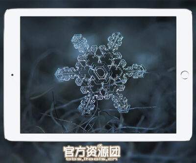 雪花 下雪 雪山 雪狐 滑雪 雪松 壁纸 锁屏 桌面 墙纸 iPhone ipad PC itools 唯美 简约 静谧 高清 超清 2k