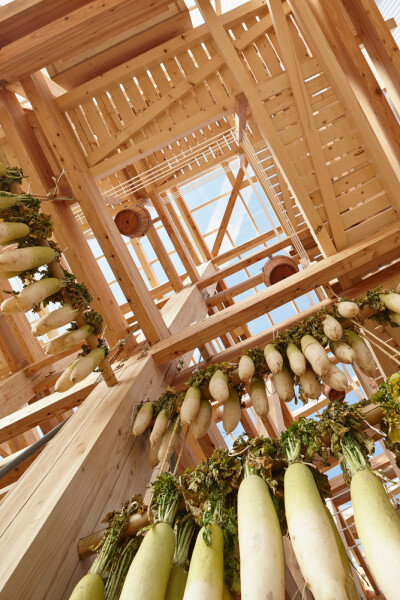 成长的巢居,© Shinkenchiku-sha，它是一种开放的公共建筑，其目的在于向人们展示北海道特产，同时将人们聚集在一起来储存、准备和享用当地美食。