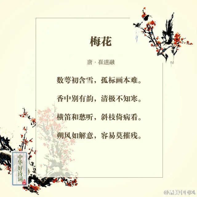 那些与梅花相关的诗词