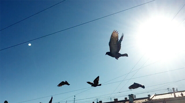 @视觉诊所CLINIC
太空漫游164天的宇航员，写给地球的情书。