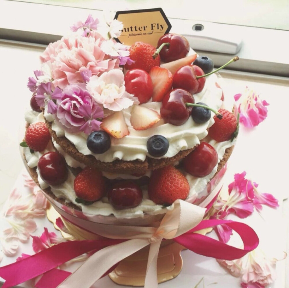 双层水果裸蛋糕