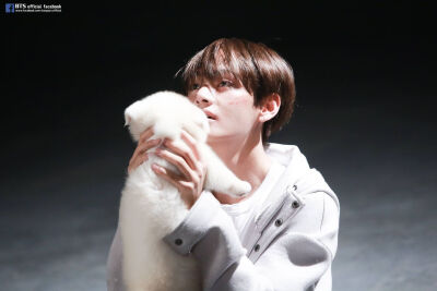 2016.12.30金泰亨生日快乐
防弹少年团 bts bangtanboys
金南俊（rap monster） 金硕珍（jin） 闵玧其（suga） 郑号锡（J–hope） 朴智旻（jimin） 金泰亨（v） 田柾国（jungkook）