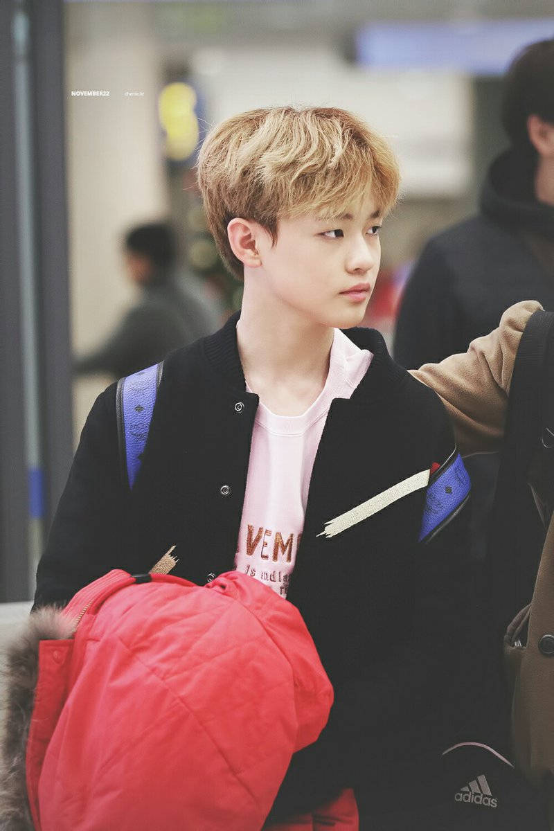 辰乐chenle