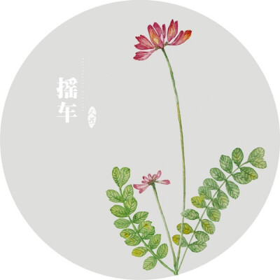 水彩画-植物