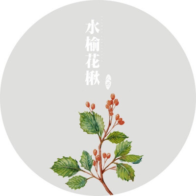 水彩画-植物