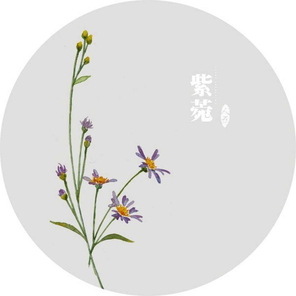 水彩画-植物