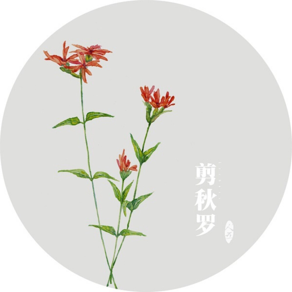 水彩画-植物