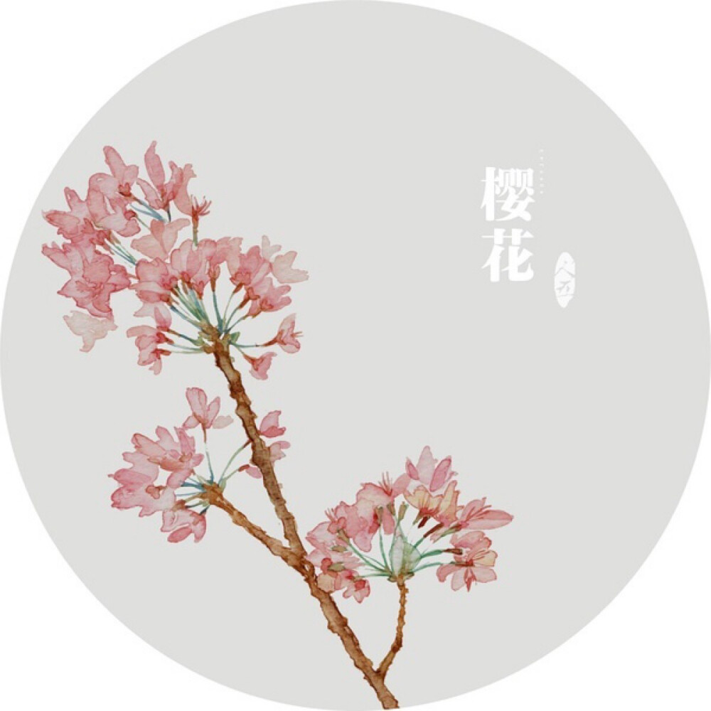 水彩画-植物