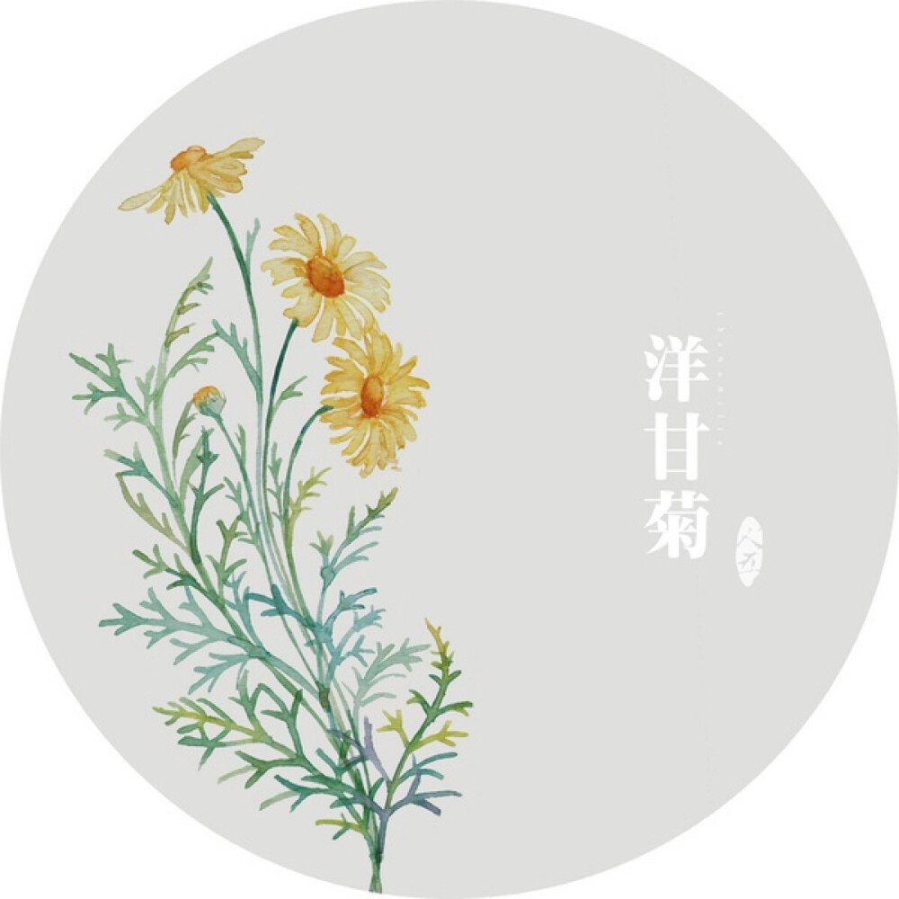 水彩画-植物