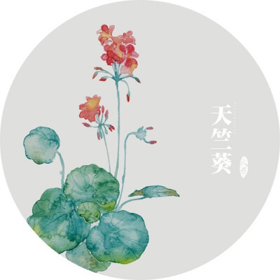 水彩画-植物