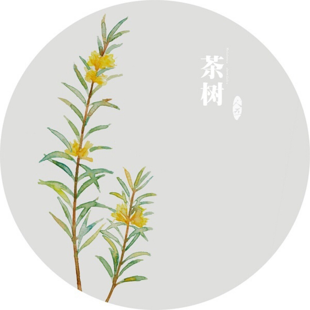 水彩画-植物