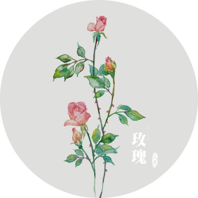 水彩画-植物