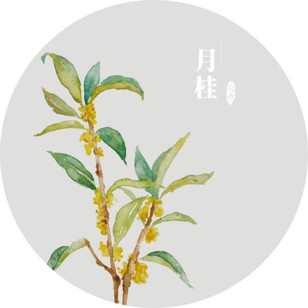 水彩画-植物