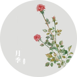 水彩画-植物