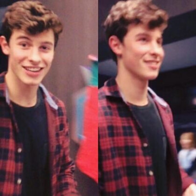 ShawnMendes