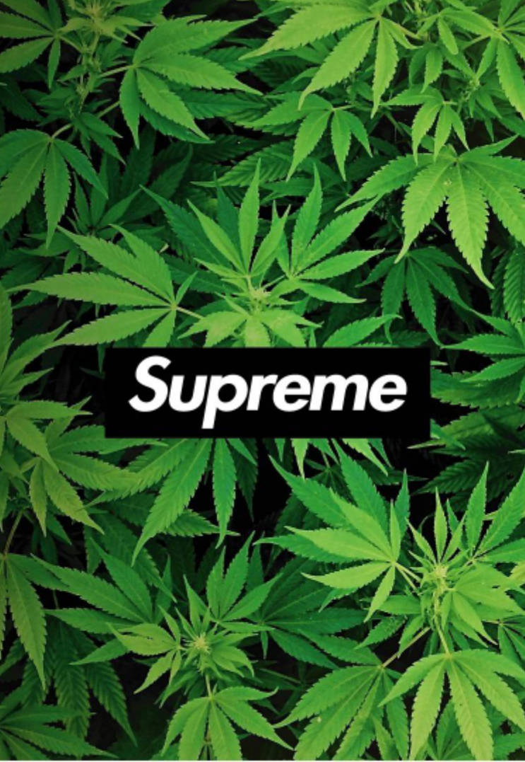 supreme - 堆糖,美图壁纸兴趣社区