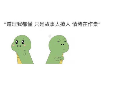 道理我都懂