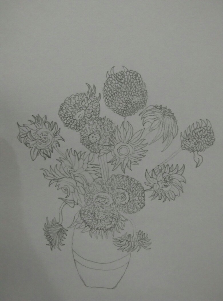 素描花类