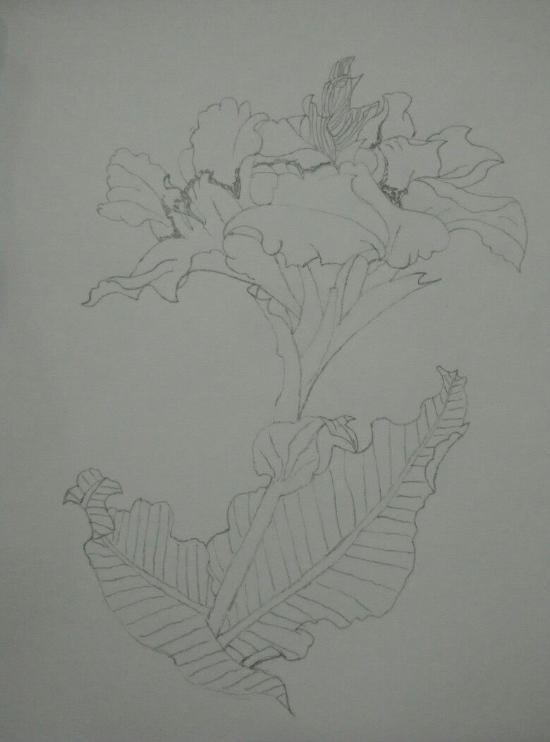 素描花类