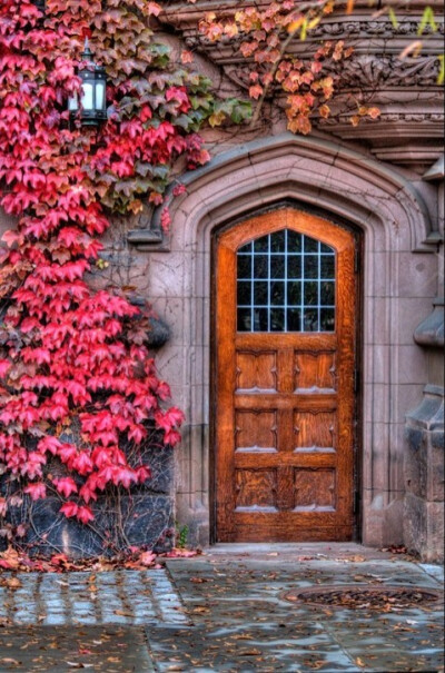 The angled top and glass panes add so much character to this old world front door-ThiNm-图片