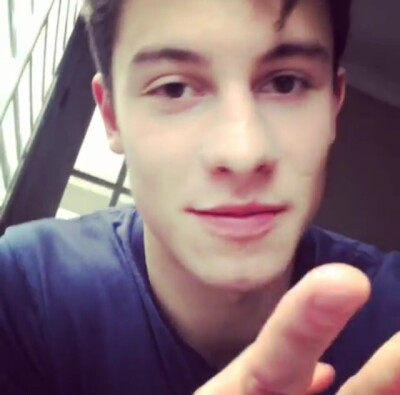 shawn mendes