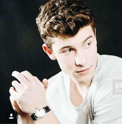 shawn mendes