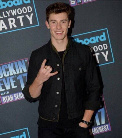 shawn mendes