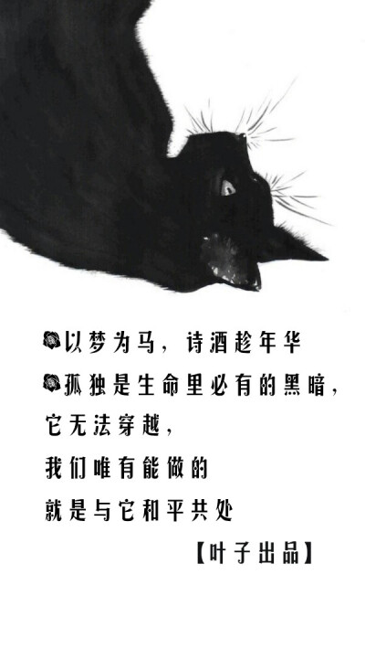 良心产品 猫 喵 黑白 简约 时尚 文字 设计 壁纸