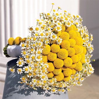 #yellow wedding bouquet #afloral:-Tk3Nm-图片