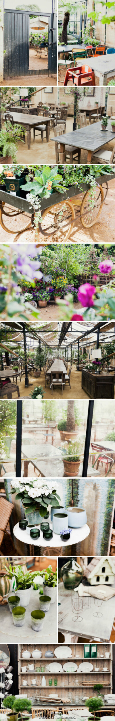 植物控们看到这样的咖啡店一定会失控吧。。。 Petersham Nurseries Café (1) #咖啡馆之旅#-jgzZT-图片