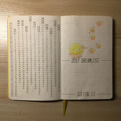 2017 bujo