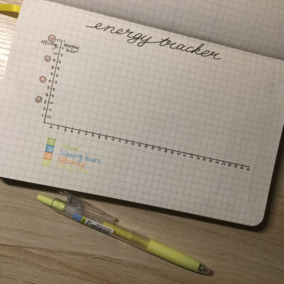 2017 bujo