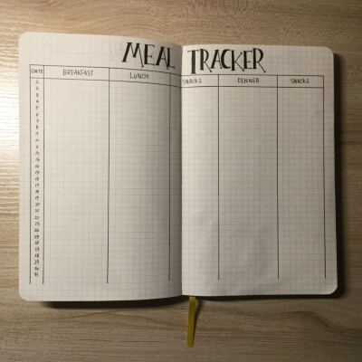 2017 bujo