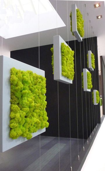 Urban sustainable living green contemporary vertical garden-WEyOG-图片