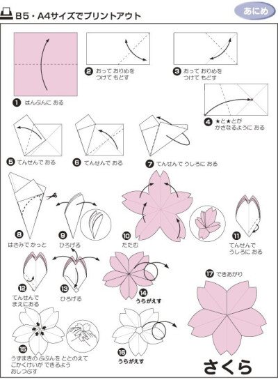 樱花的折纸教程~~-Tg4YW-图片