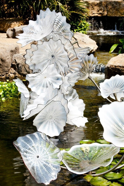 Chihuly-DE3NT-图片