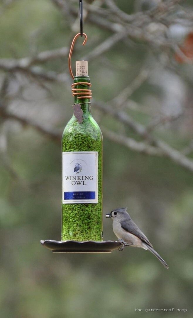 DIY Wine Bottle Bird-Feeders #手工#-GE5ZT-图片