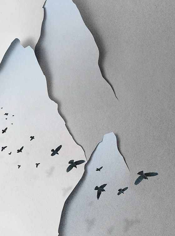 纯洁的剪纸艺术 Eiko Ojala #纸艺#-zIzNm-图片