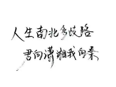 泼墨字,