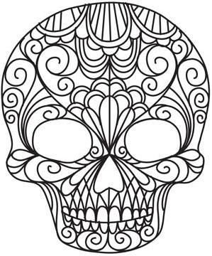 Delicate Skull_image-WVmND-图片