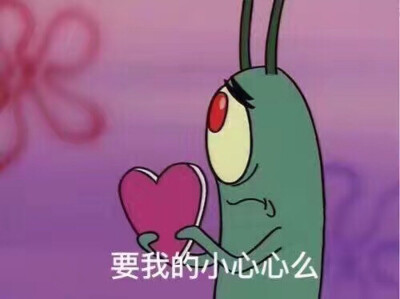 给你我的小心心