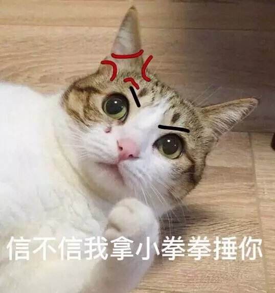 猫的威胁