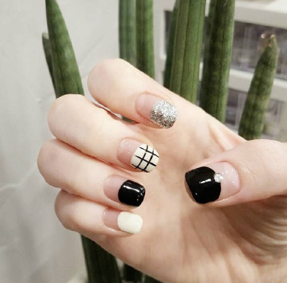 黑白闪亮的半甲，干净利落的感觉