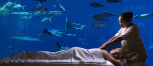 娱乐 海豚湾 水上乐园 购物 水疗 潜水 网球 沙滩 巨型水族馆 | 迪拜棕榈岛亚特兰蒂斯度假酒店欢迎您！- Atlantis The Palm-TgwMm-图片