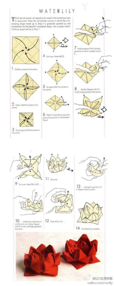早安丶晚安丶心语：一款纸折睡莲，挺不错的，动动手~-GMyZW-图片