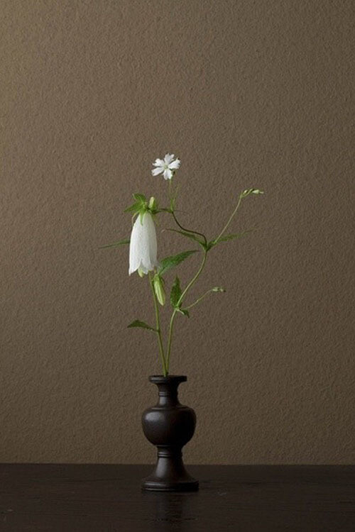 人与花道，日本花艺大师川濑敏郎的插花作品欣赏_狂想派 〡 热爱小清新森女系の文艺网站-WRlMD-图片