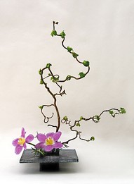 Ikebana-jZiZj-图片