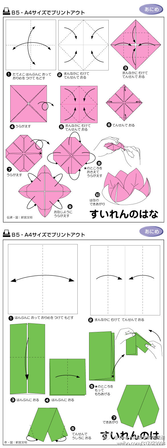 折纸莲花-DcwOG-图片